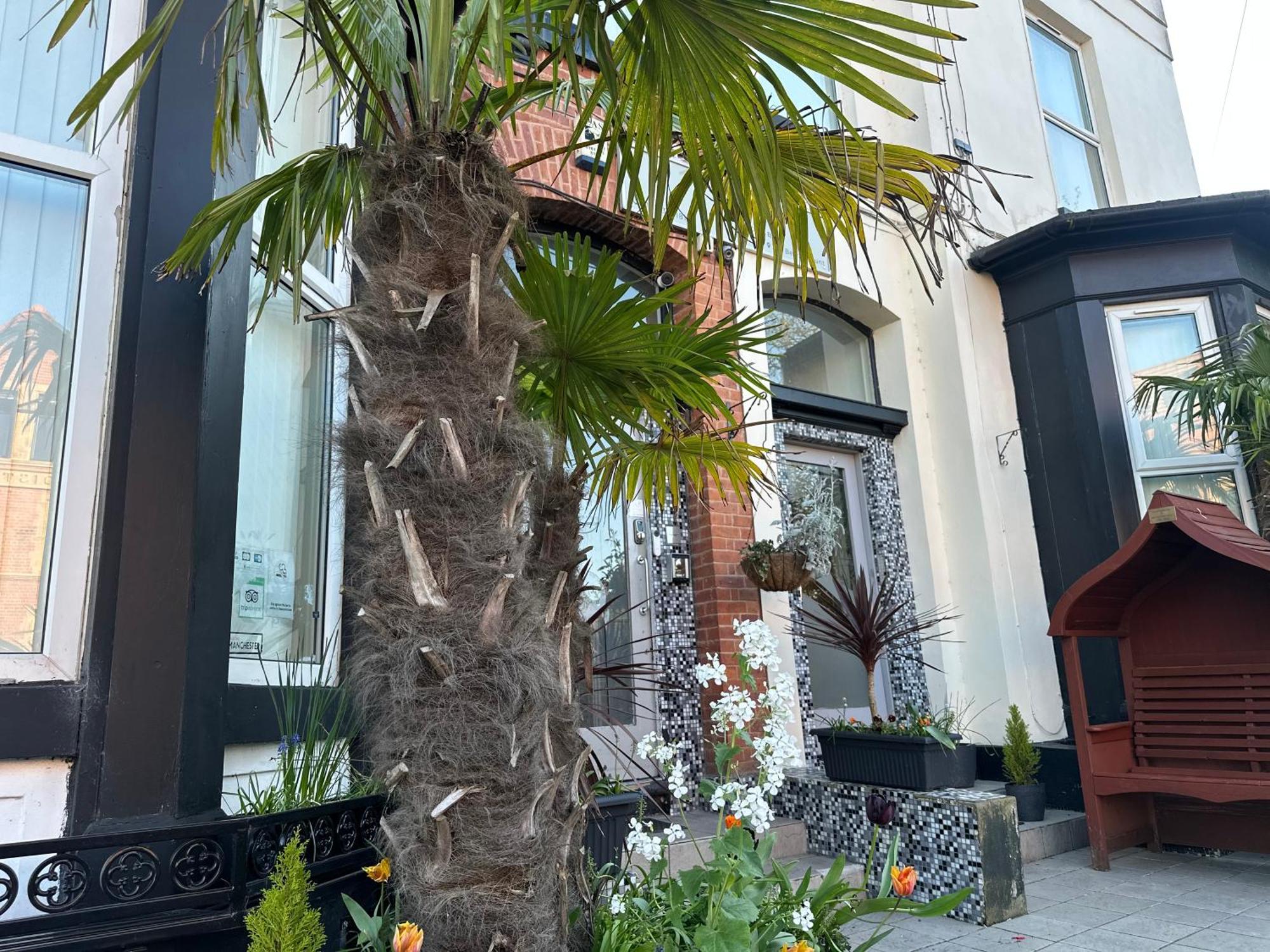 Hendham House - Near Etihad Stadium, Coop Live Arena, Ao Arena, Piccadilly Train Station & Manchester City Centre — Photos 2